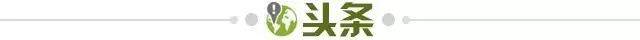 竞彩足球推荐-【早报】知“吴”不言，还是语“吴”伦次？